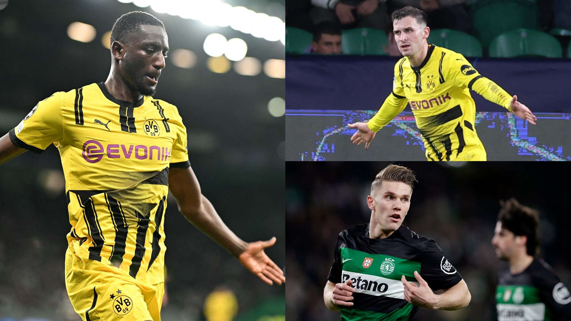 明确表示 明确表示