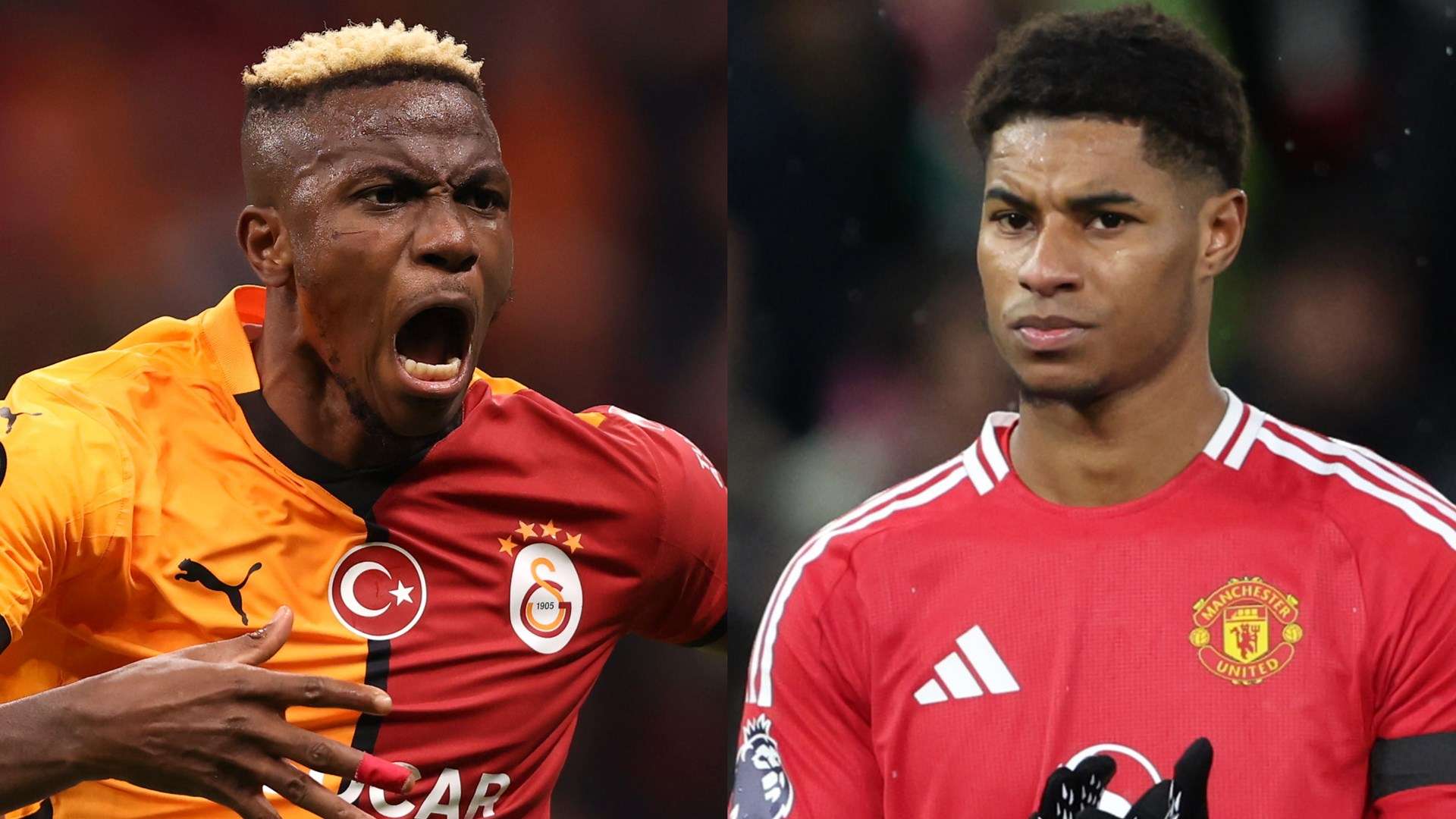 谢里夫的成 谢里夫的成