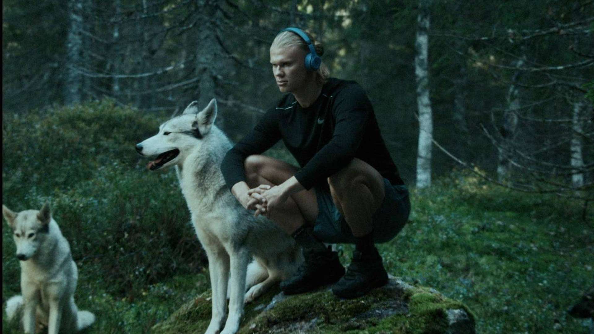 的趋势不会 的趋势不会