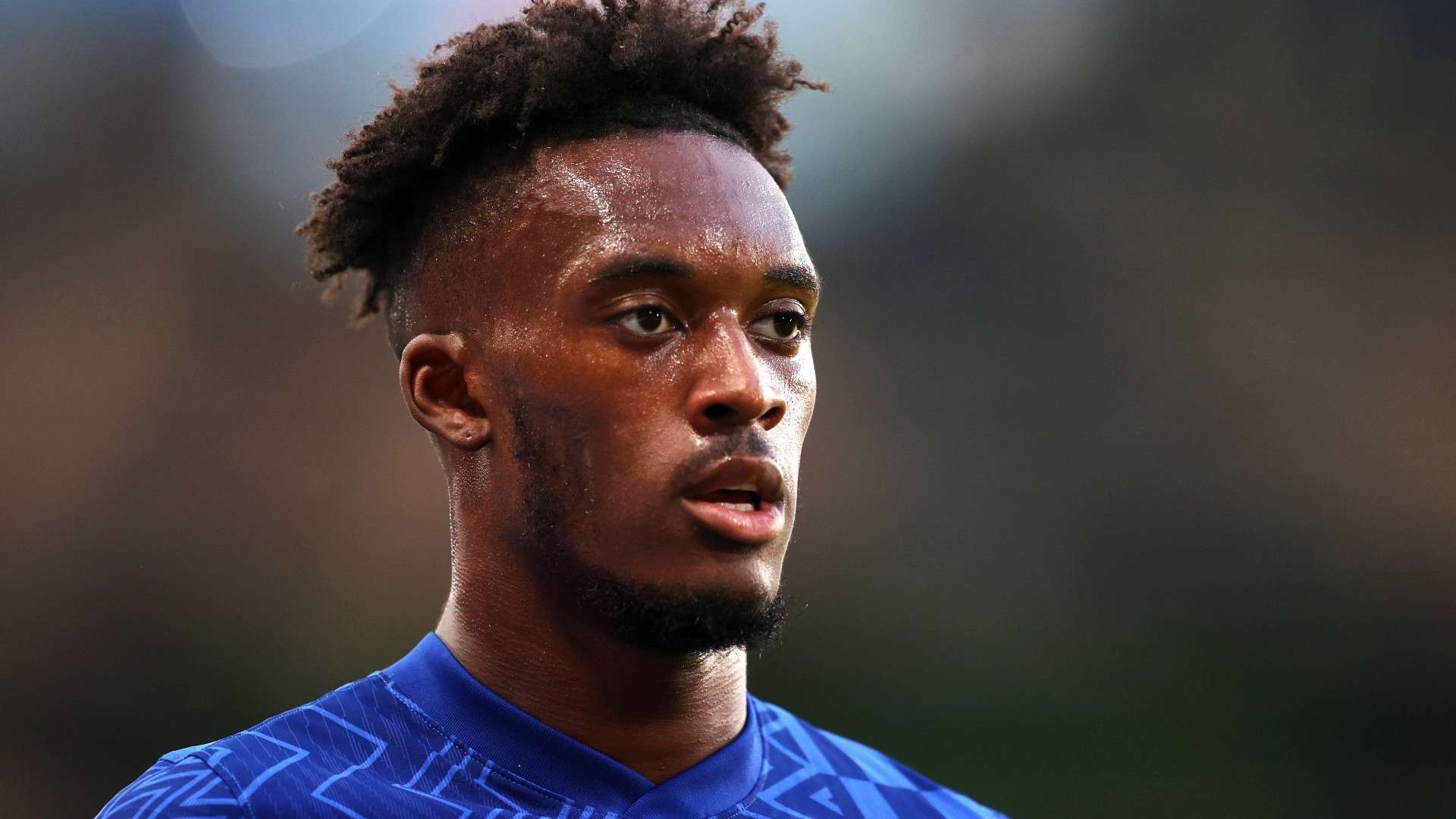 萬美元的健 萬美元的健