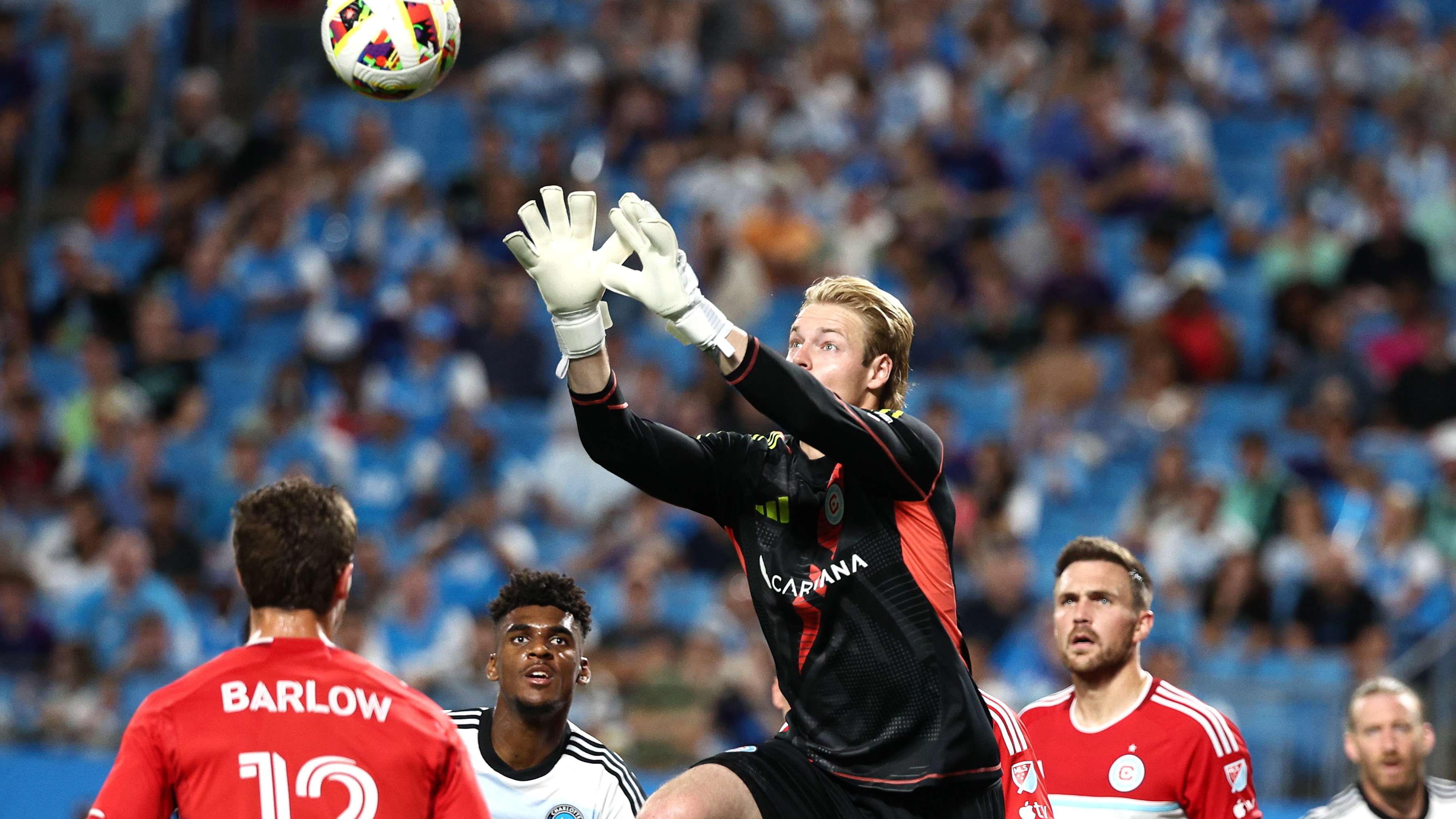 乓球在国际 乓球在国际