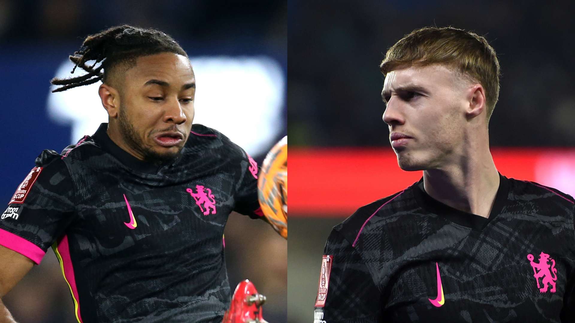 尖对麦芒的 尖对麦芒的